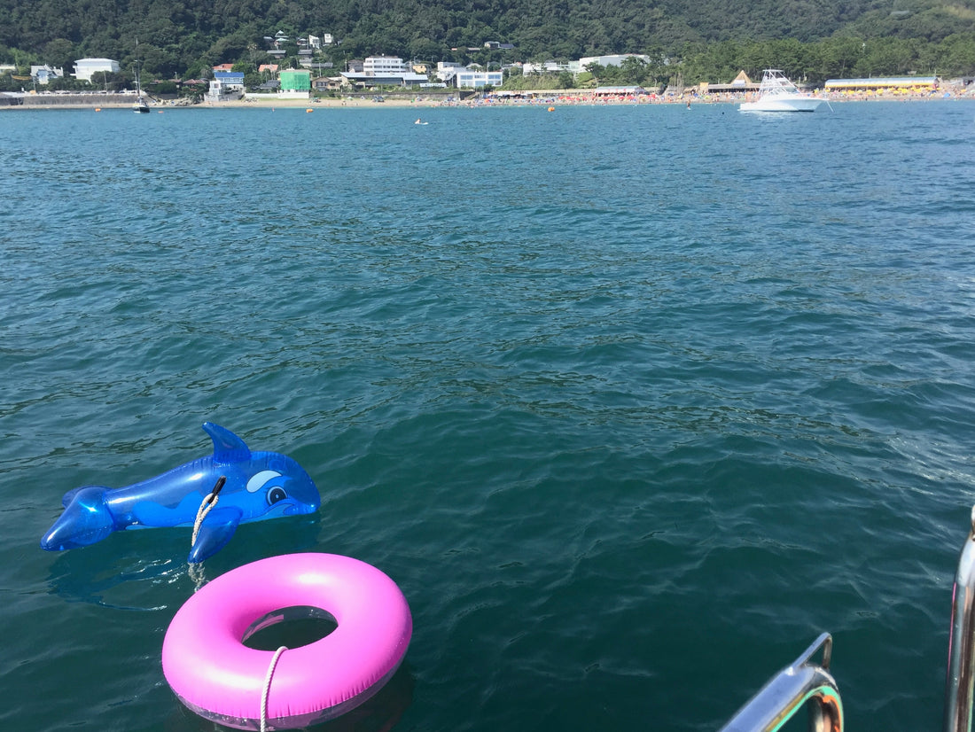 siestaが伝えたいこと