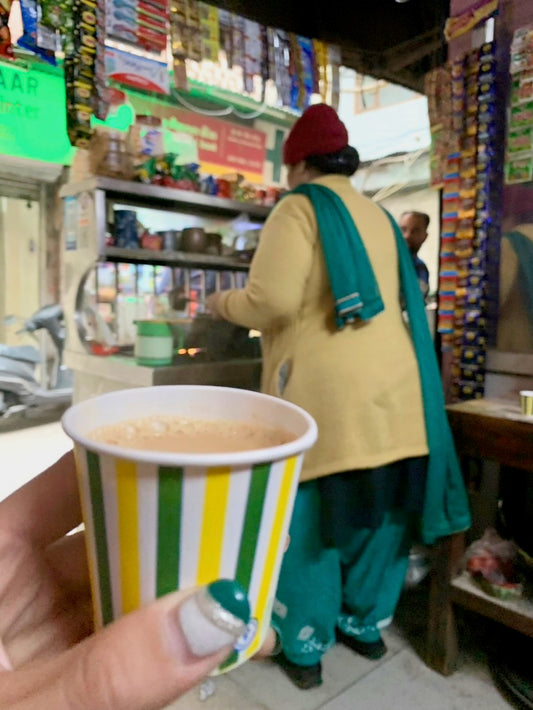 チャイを飲みにインドに来たら、始まった夢の続き (後編)