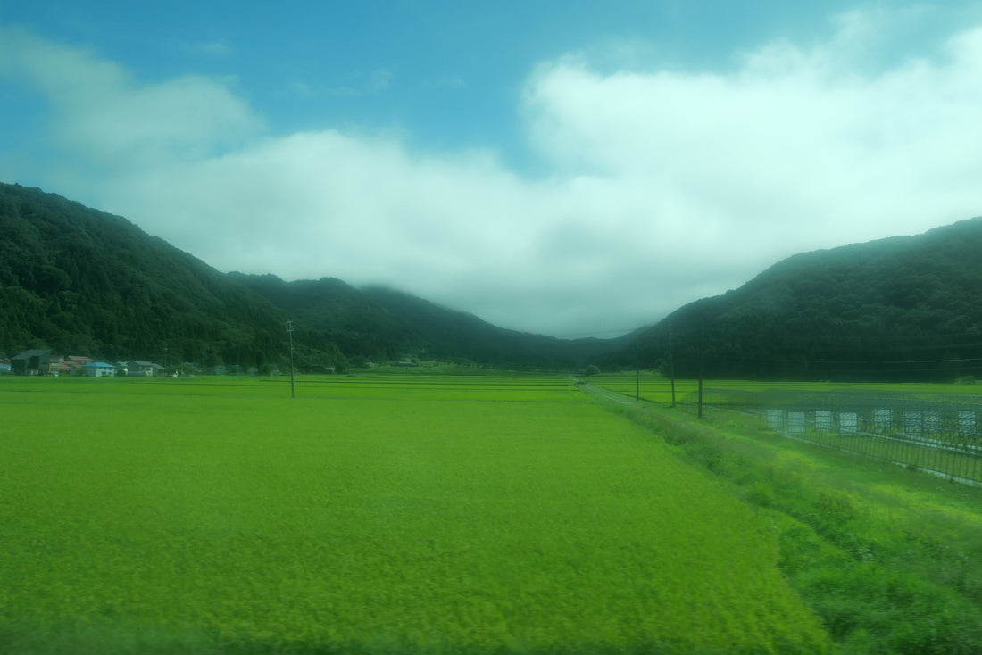 𝗛𝗼𝗹𝗶𝗱𝗮𝘆 𝗜𝗱𝗲𝗮: 逆の旅 𝗔 𝗝𝗼𝘂𝗿𝗻𝗲𝘆 𝗮𝗴𝗮𝗶𝗻𝘀𝘁 𝘁𝗵𝗲 𝗮𝗹𝗴𝗼𝗿𝗶𝘁𝗵𝗺
