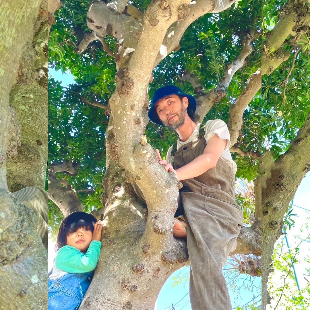 OrangeMusic x siesta = Going into jungle