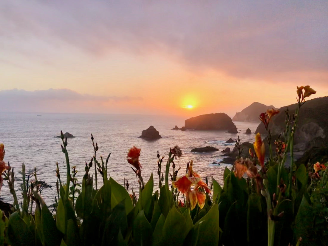 Sunshine ~ 太陽の光